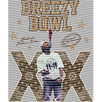 idol singer-GS  2529